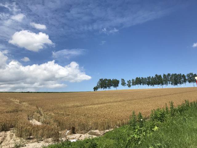 f:id:sabotennmegane:20180804162452j:plain f:id:sabotennmegane:20180804162452j:plain