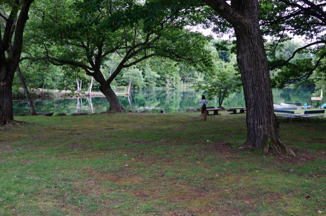 エメラルドグリーンの鳥沼公園の沼