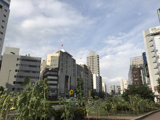 f:id:sabotennmegane:20180917193520j:plain f:id:sabotennmegane:20180917193520j:plain