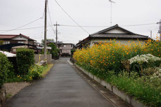 巾着田へのアクセス