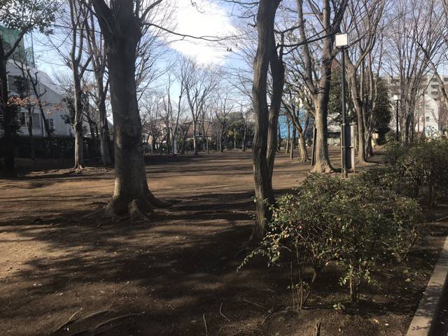 中央緑地公園