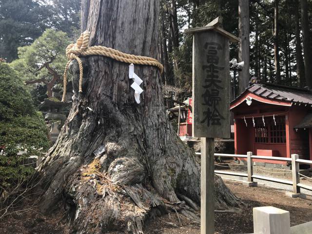 パワースポットの浅間神社