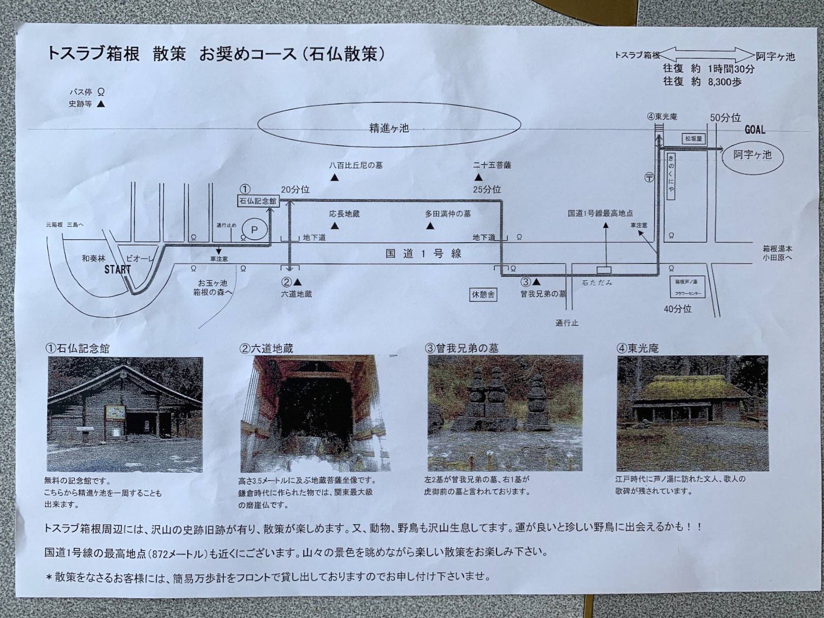 和奏林の周辺情報