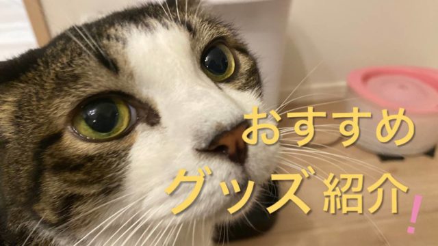 猫グッズおすすめ