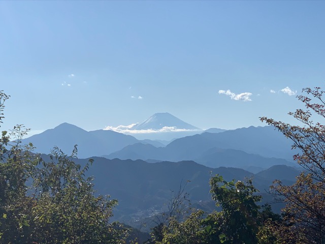 高尾山の山頂から富士山